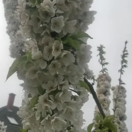 아파트 Novakporta Vendeghaz