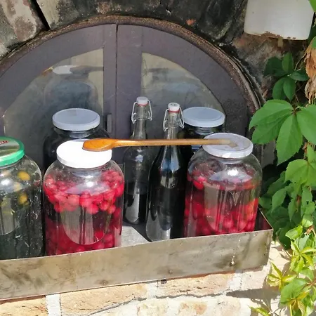 아파트 Novakporta Vendeghaz